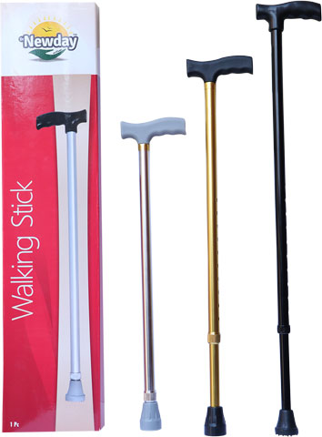 Walking Stick (WS - 01)